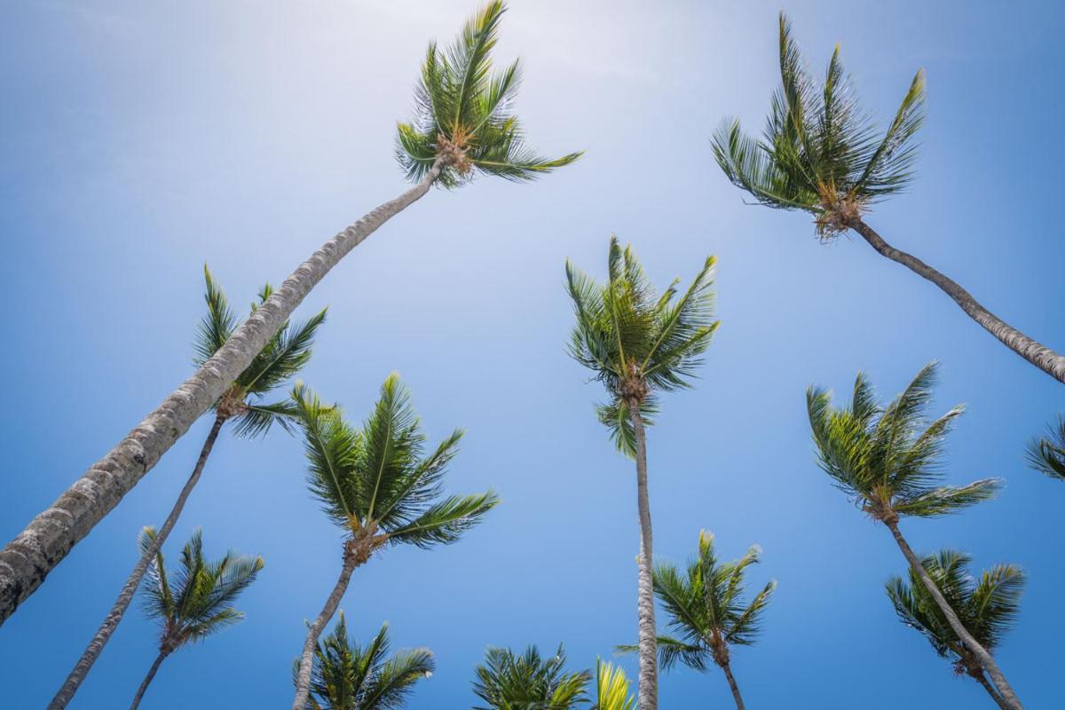 Aparthotel Don Cesar Las Terrenas Zewnętrze zdjęcie
